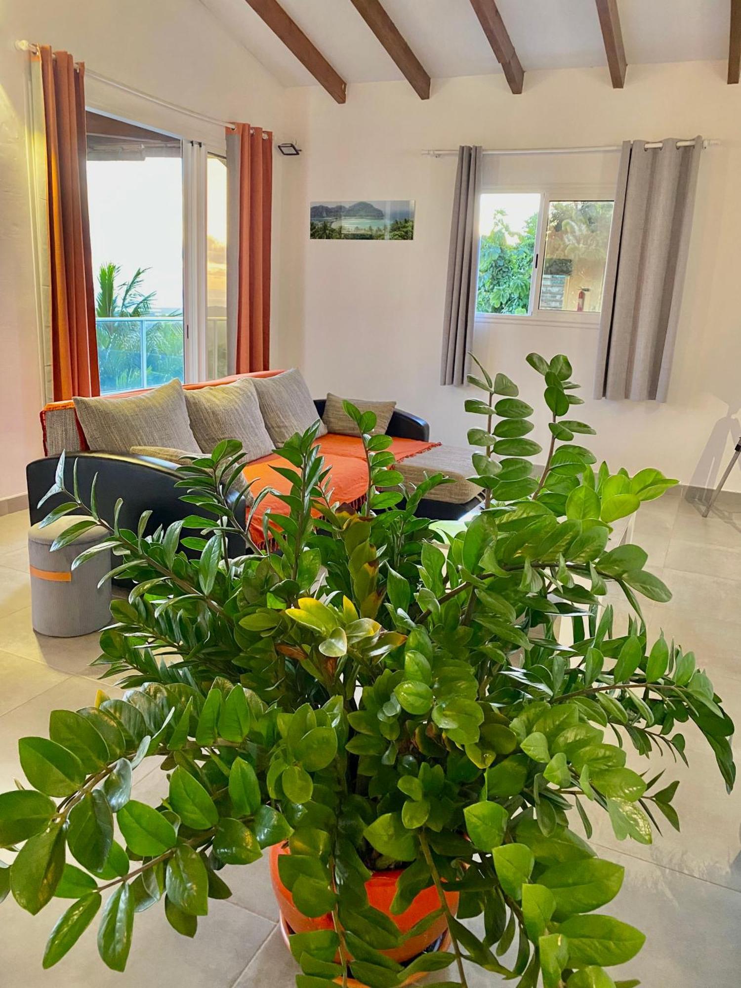 Les Villas Pameyaque 2 F2 Avec 1 Piscine Et 1 F3 Avec 1 Piscine, Superbe Vue Sur La Mer Riviere-Salee Eksteriør bilde